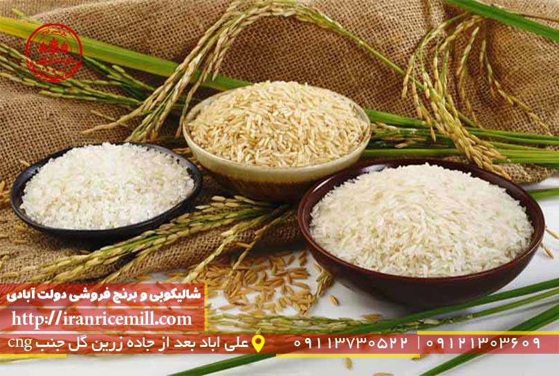 برنج طارم دم سیاه محبوب ترین برنج ایرانی