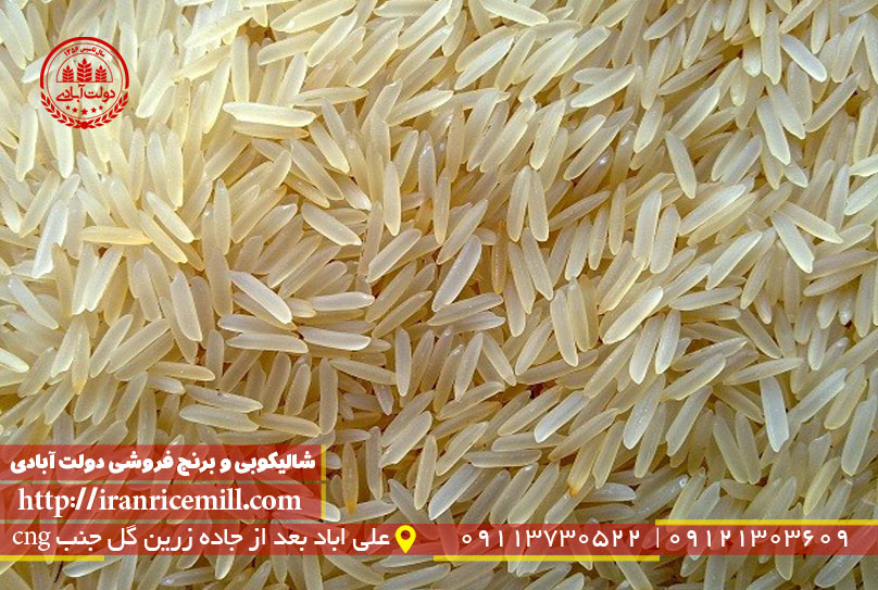 برنج فجر چطوره ؟