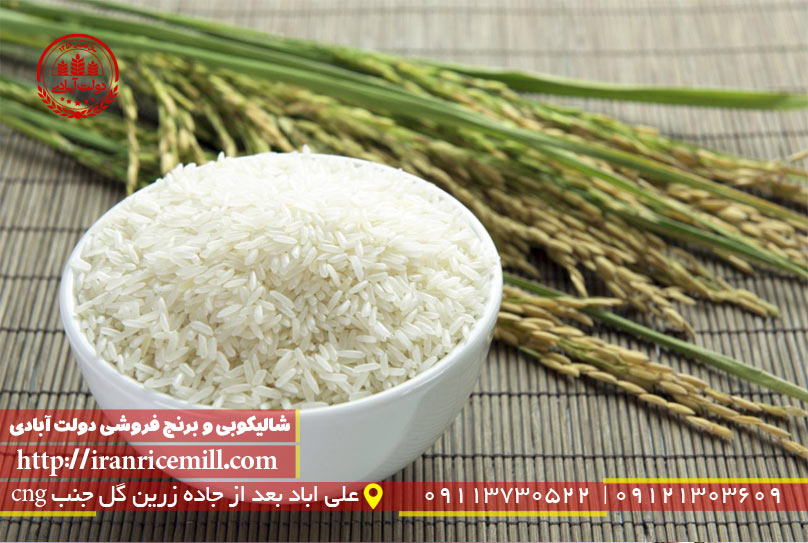 بهترین برنج شمال کدام است؟