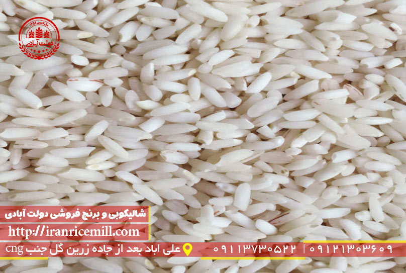 تفاوت برنج شمال با برنج جنوب در چیست؟