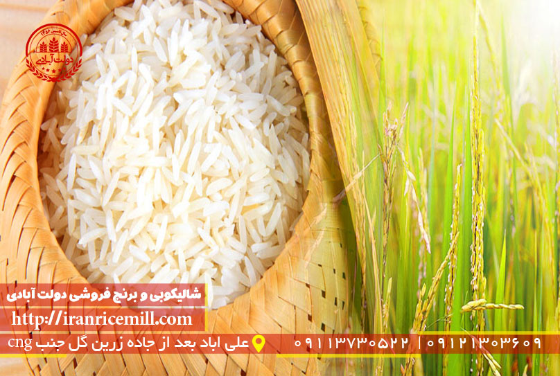 برنج خوب از کجا بخریم ؟