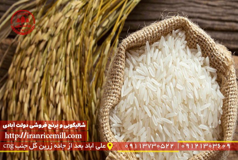 روش های جلوگیری از شپشک برنج