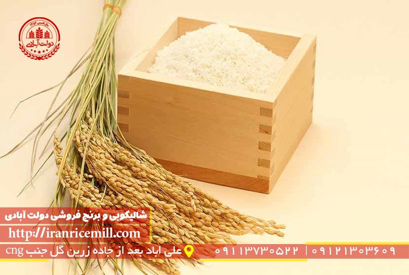 شلتوک برنج چیست؟