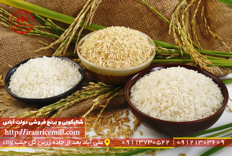 محبوب ترین برنج در ایران کدام است؟