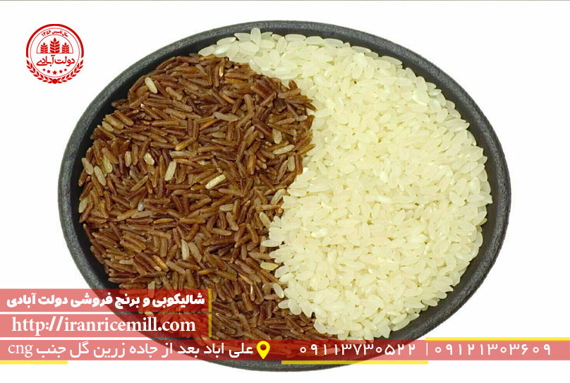مقایسه برنج سفید با برنج قهوه ای کدام بهتر است؟