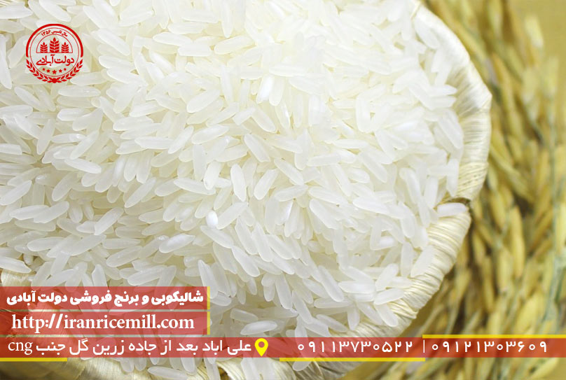 چرا برنج شمال پرفروش است؟
