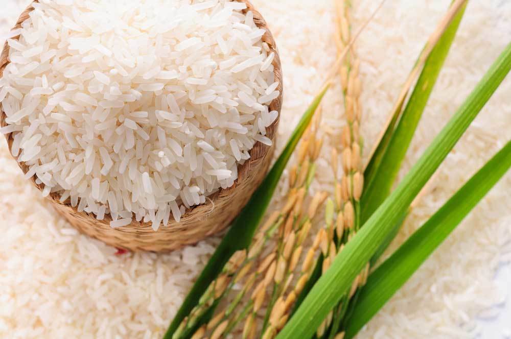 مقایسه انواع برنج ایرانی کدام بهتر است